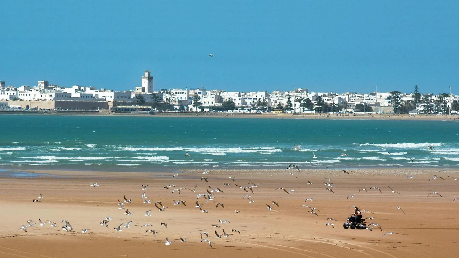 Apartment Splendide Appartement A 2Min De La Plage Essaouira